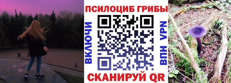 наркота  kraken сайт  Псилоцибиновые грибы прущие грибы  Балтийск 